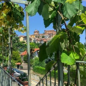 Fontanazza