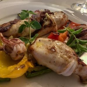 Tastè Squid