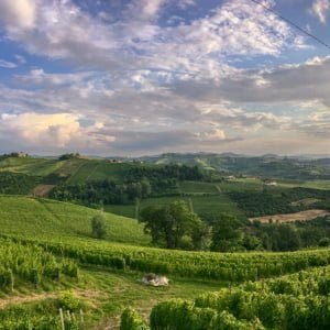 Tastè View