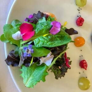 il Centro Insalata