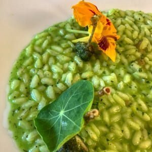 il Centro Risotto with Frog Legs